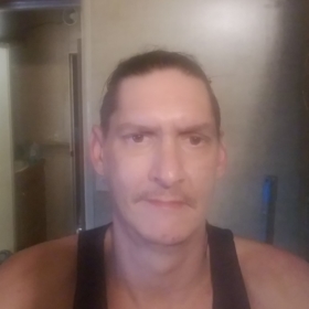 Elph81