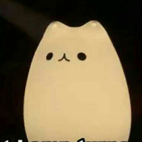 Rei666
