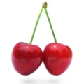CherryBoys