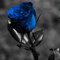 aquarius_beauty