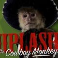 WhiplashTacos