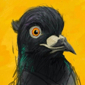 karl96