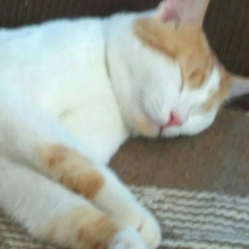 Oscar767
