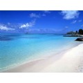 BeachLuver124