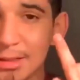 trillestdrake