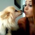 SimplyLexi
