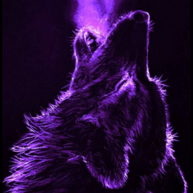 purpledolphin23