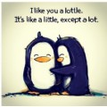 Madikinlovesyou