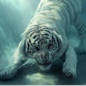 ShadowTiger