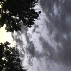 cskyy55