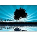 Bluemonk