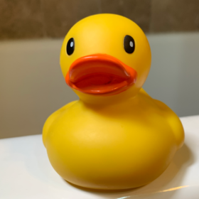 DuckDuckQuack