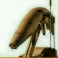 Rogered