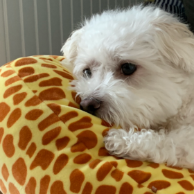 Sammy189