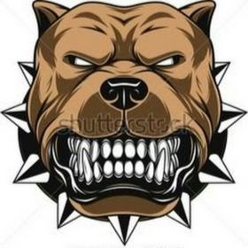pitbullsRawesome789