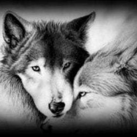 RianWolf
