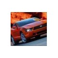mustang0617