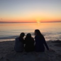 Happylivingn