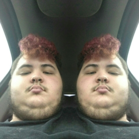 the_fat_bro