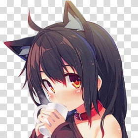 CharmyCat