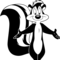 skunk3n