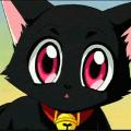 kittybell