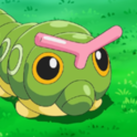 caterpie