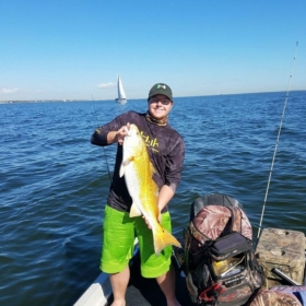 saltlife365