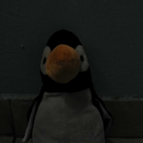 penguinkid