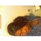 jazzypooh08