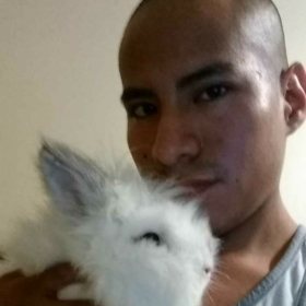 ChicagoFelipe