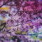 lilac325