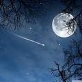 Angelofdreams