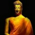 vikash007
