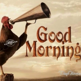 jaisharma711