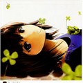 AnnSherry