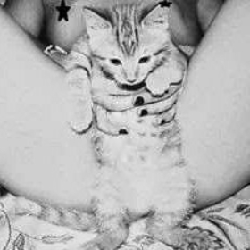 kitti_kittenz