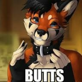 Zasterwolf