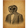 SophisticatedOwl