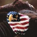 Born2Soar