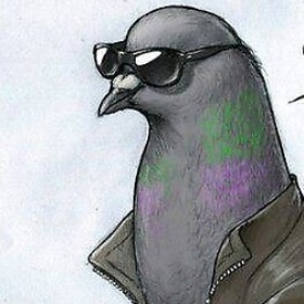 PigeonPaul
