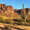 arizonaguy95