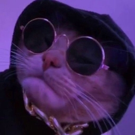 BadKarma3