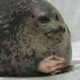 panzerfaustpebble