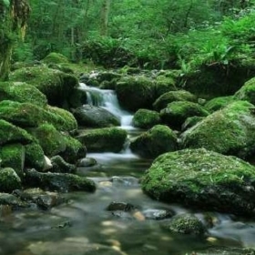 RushingRiver