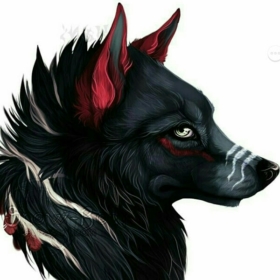paolidark