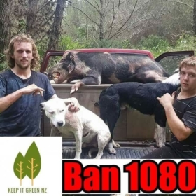 camdog1400