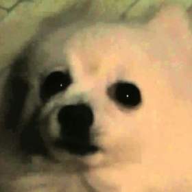 succboi28