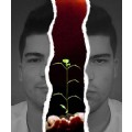 asidiscern