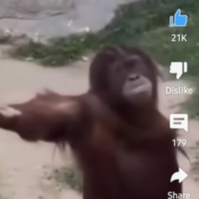 justsomeaverageguy